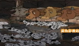 女人与动物交配视频,揭秘人类与动物交配的禁忌真相