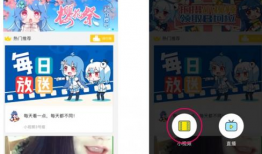 下载哔哩哔哩视频,下载视频背后的故事